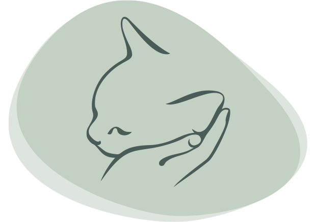 Illustration einer Katze - Praxis Anne Grunder
